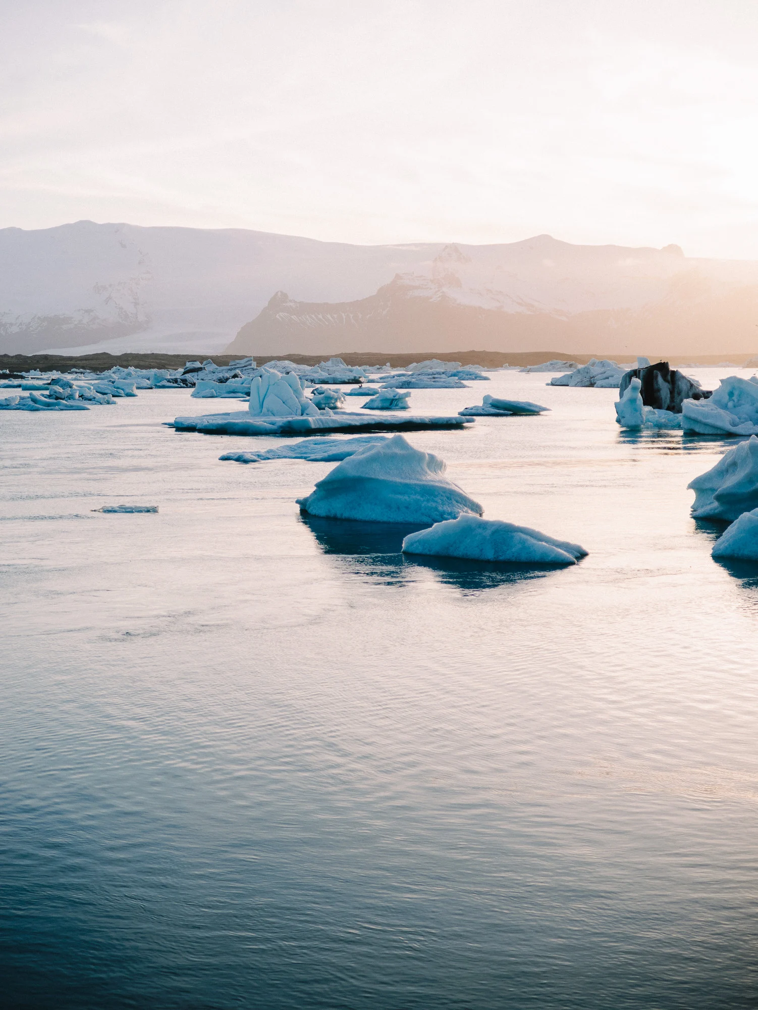 Blocs de glace bleue dérivant sur la lagune de Jökulsárlón au crépuscule