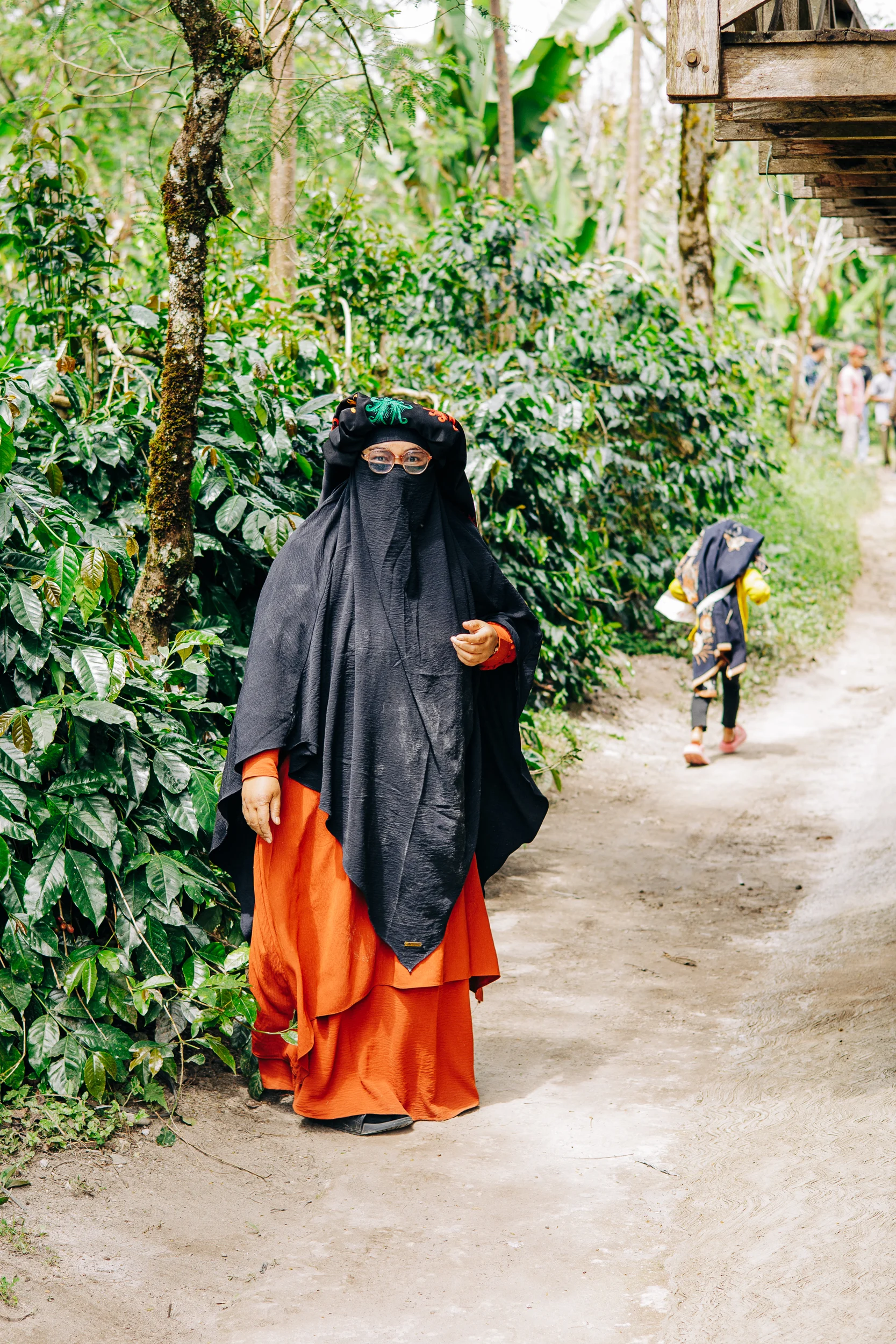 Femme voilée marchant dans une plantation de café d'Aceh, Sumatra