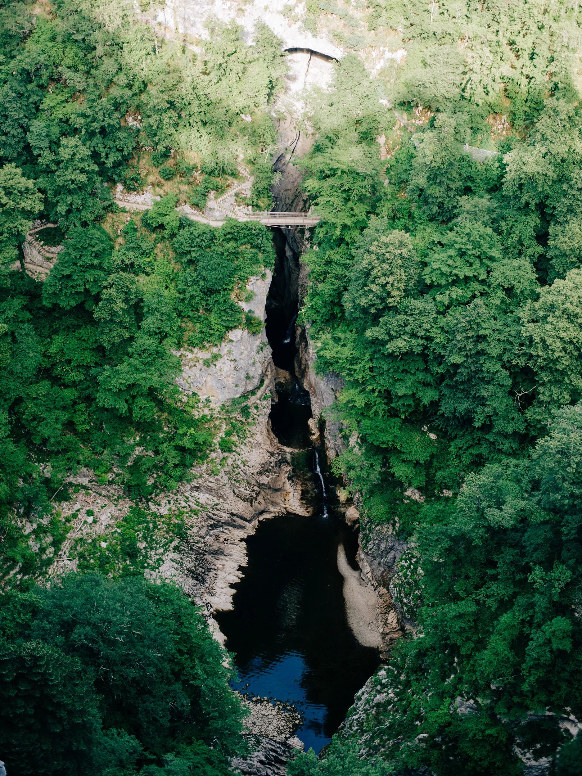 Gorge étroite et vasque d'eau sombre au cœur de la forêt slovène