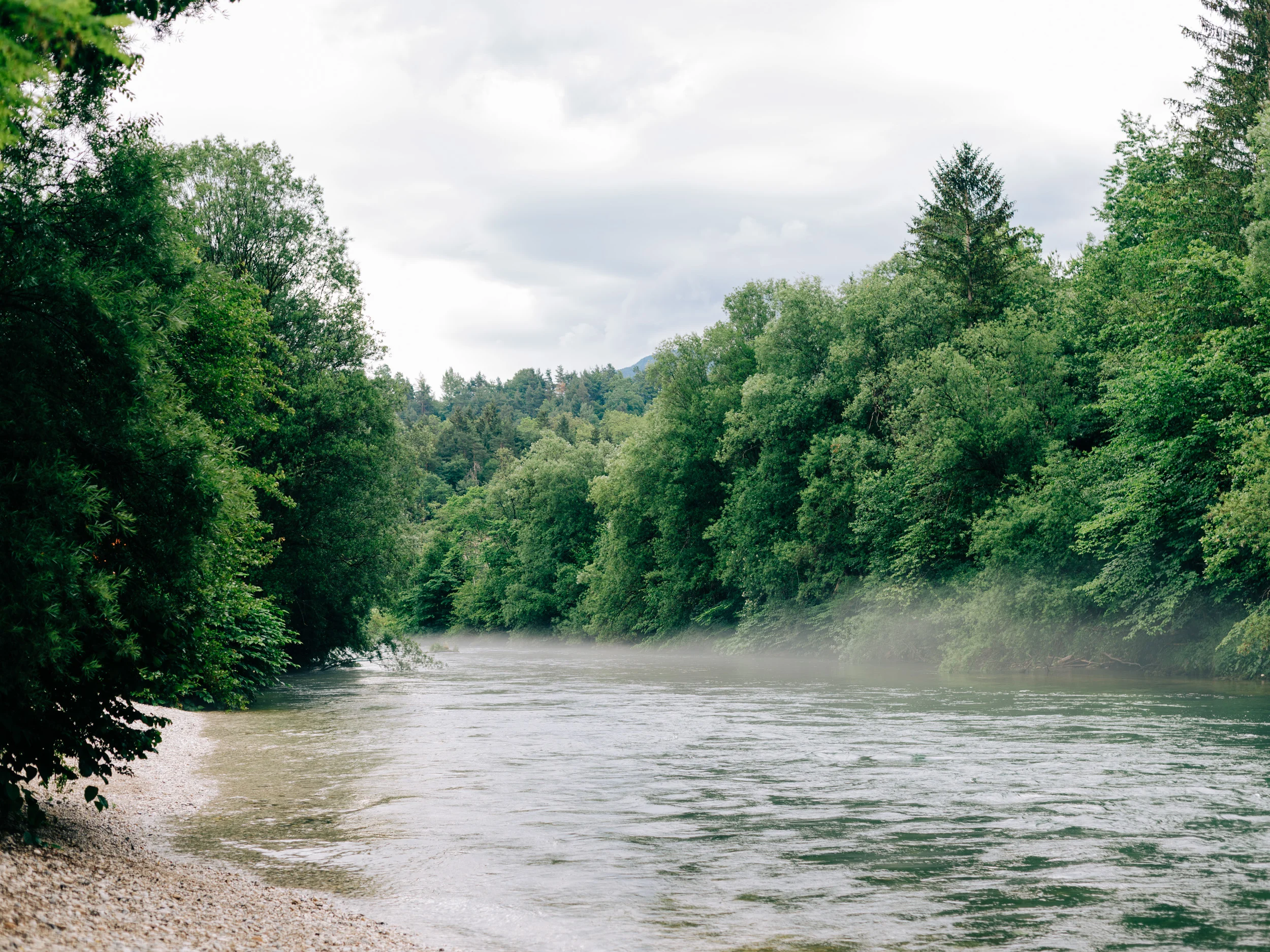 Rivière aux eaux claires bordée de forêt sous la brume, Slovénie