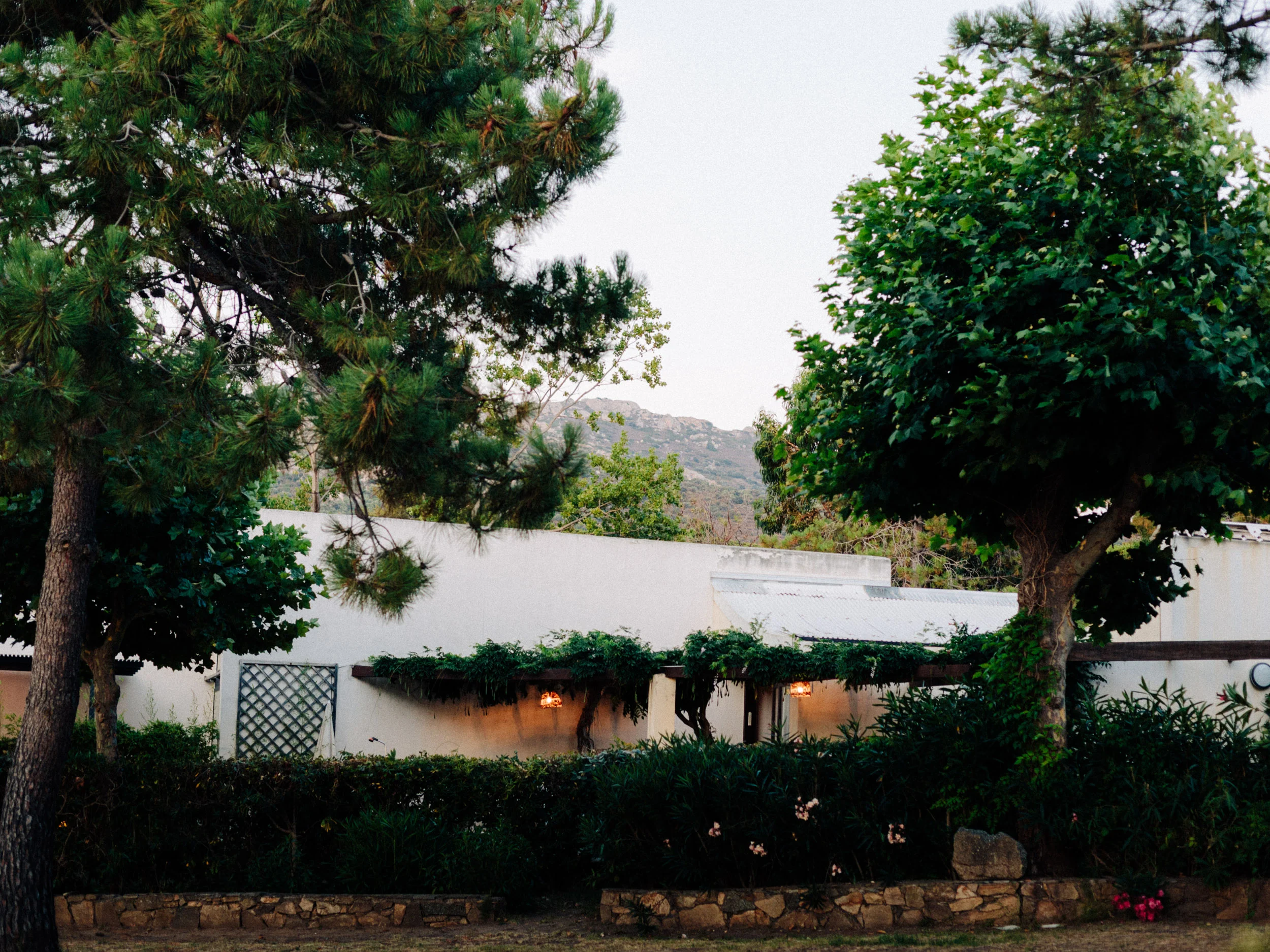 Maison blanche aux volets ouverts entre les pins au crépuscule, Corse