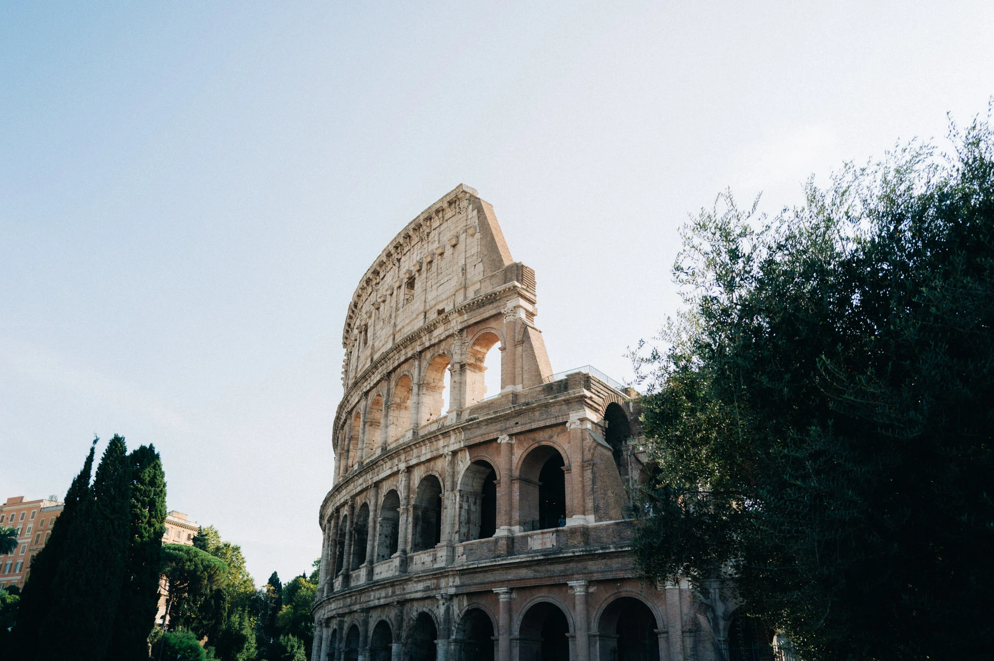 Le Colisée de Rome entre les pins et les cyprès