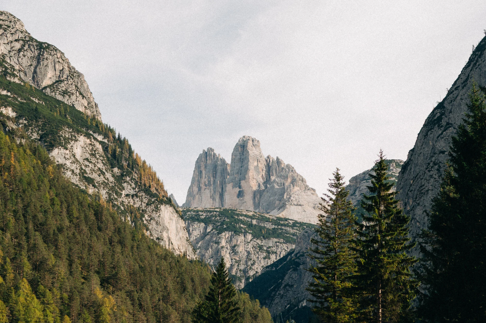 Les Tre Cime vues depuis une vallée boisée des Dolomites