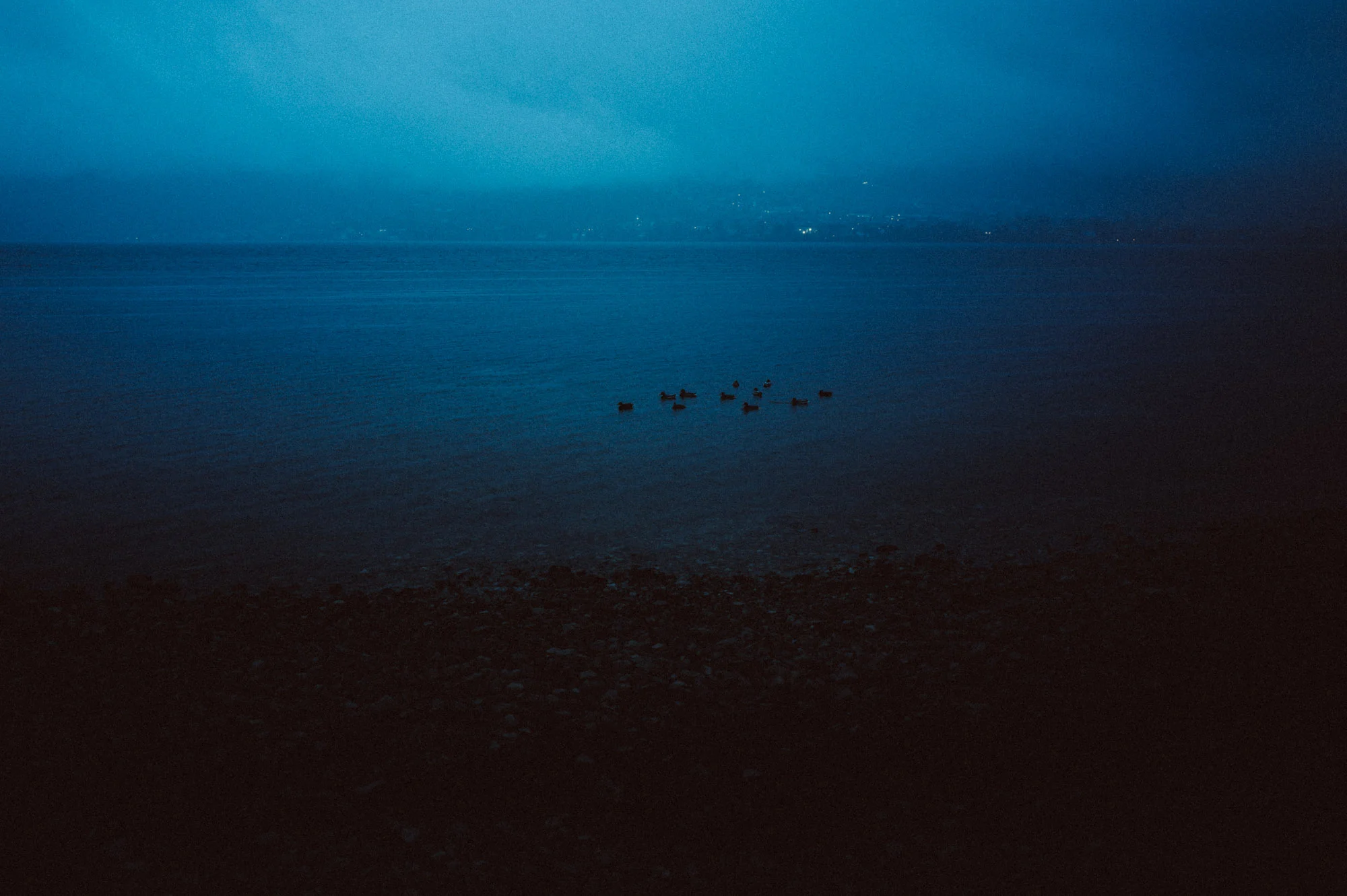 Lac à l'heure bleue, canards sur l'eau calme, Italie