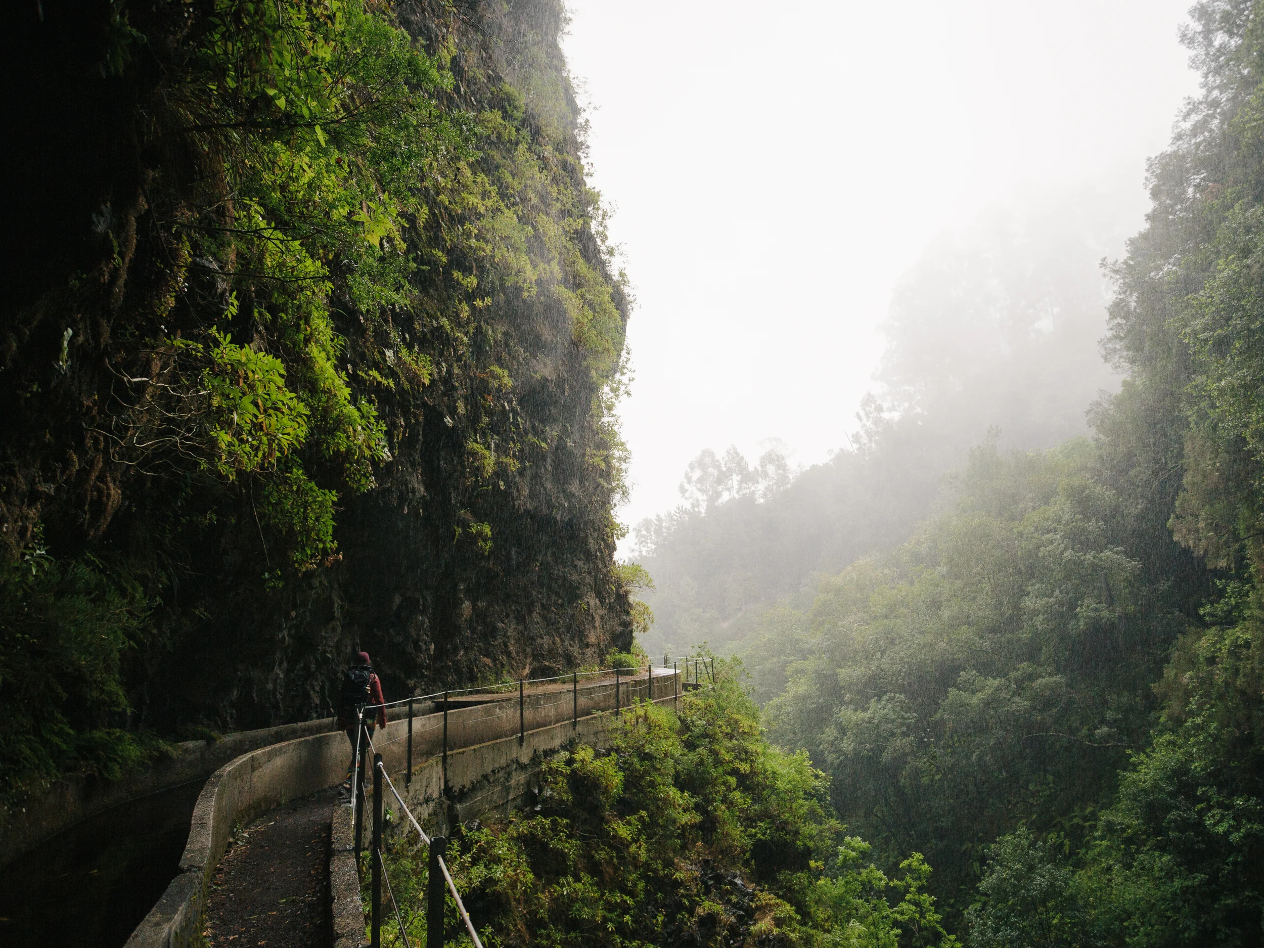 Sentier de levada à flanc de falaise dans la forêt brumeuse de Madère