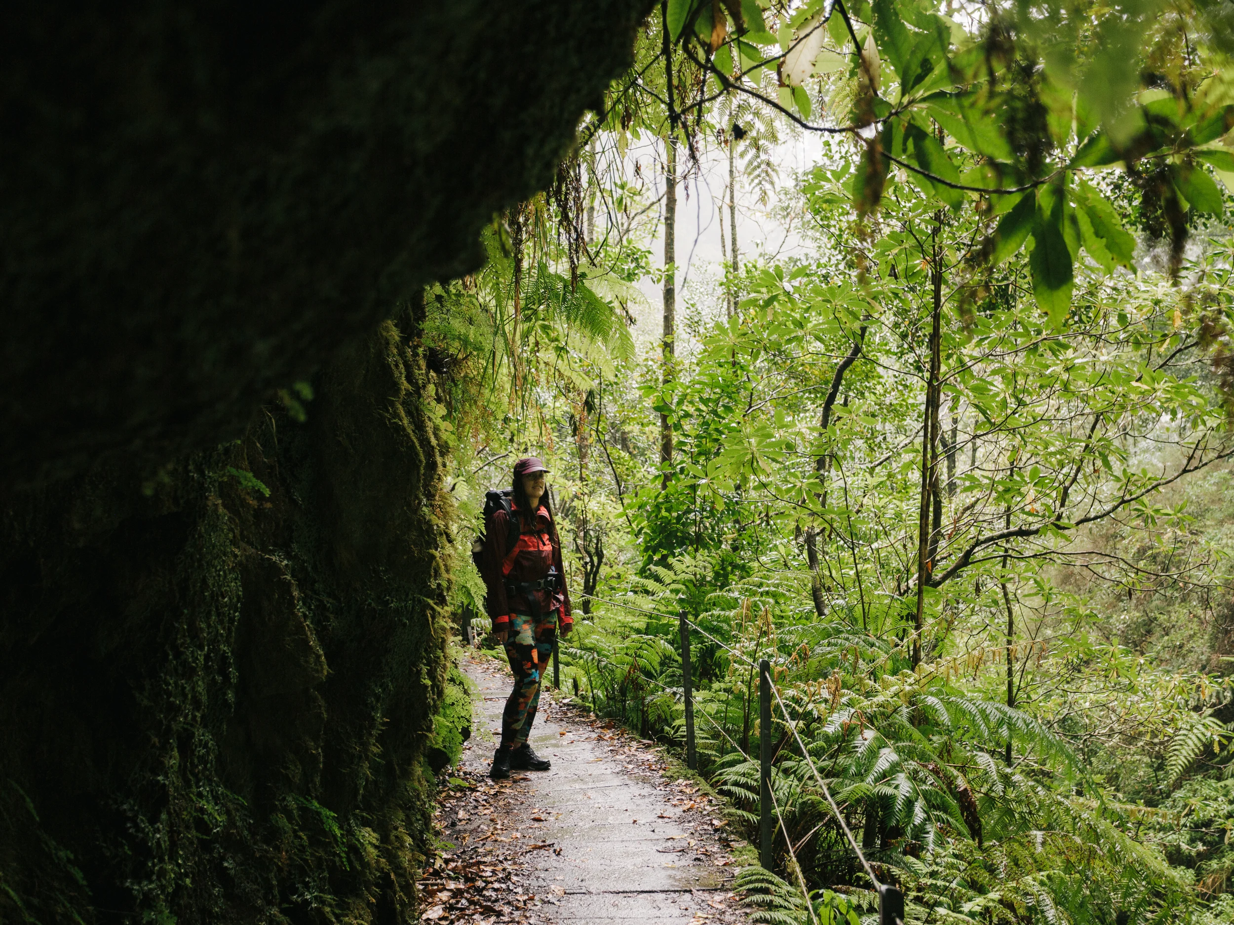 Randonneur sous une paroi rocheuse le long d'une levada dans la végétation tropicale