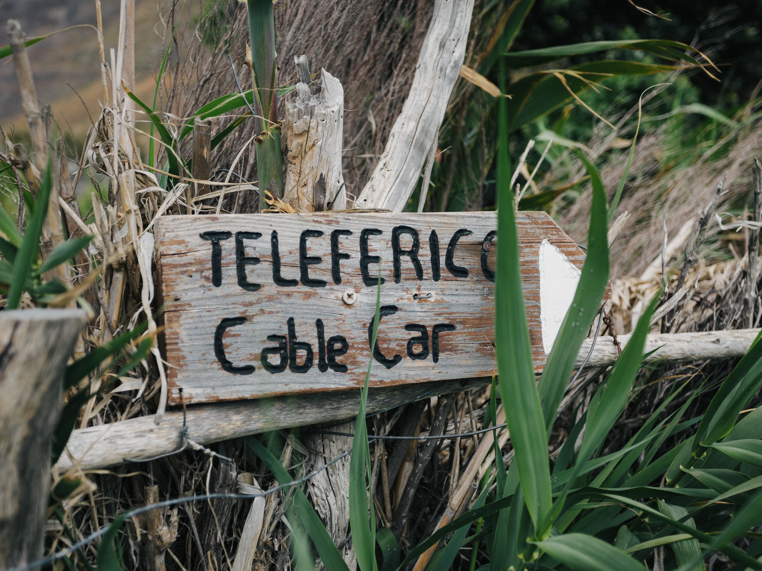 Panneau en bois « Teleferico – Cable car » dans les herbes, Madère
