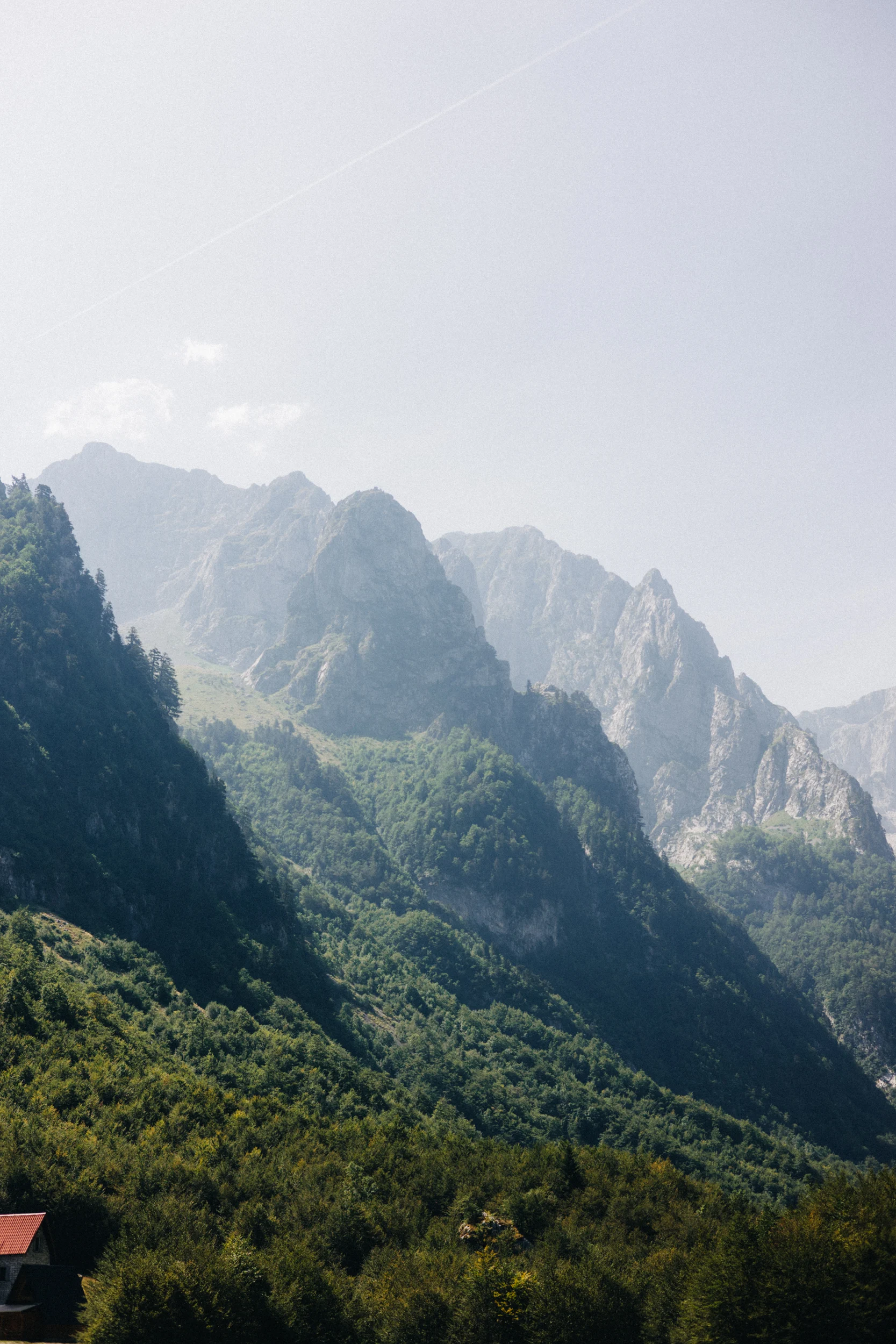 Sommets escarpés des montagnes du Monténégro au-dessus des forêts
